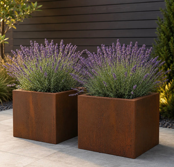 Garden Beds and Planters