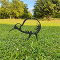 Kiwi Ground Stake